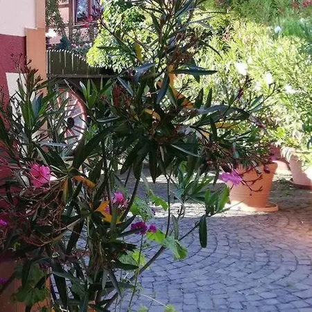 Romantisches Cottage In Gruendau - Historisches Ferienhaus Mit Privatem Check-In Extérieur photo