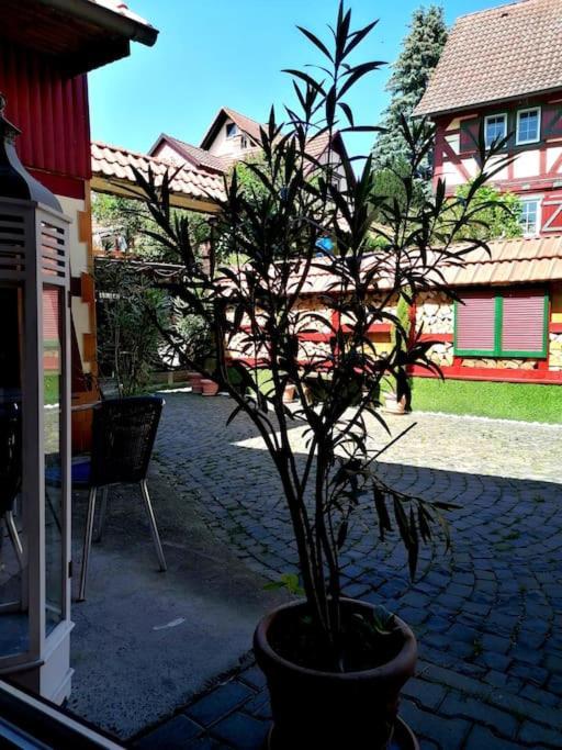 Romantisches In - Historisches Mit Privatem Check-in *